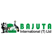 Bajuta International