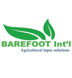 BareFoot International Limited