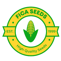 FICA Seeds